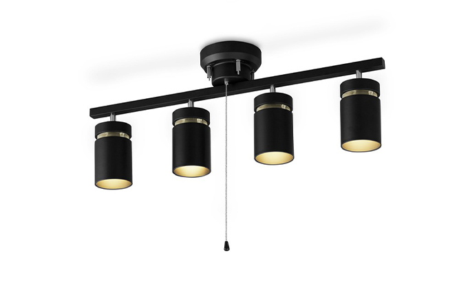 宮城県大河原町のふるさと納税 シーリングライト LED 照明 4灯 マットブラック CE4LA-22SS-MB アイリスオーヤマ 照明器具 天井照明 節電 省エネ リビング 寝室 和室 ダイニング キッチン 台所