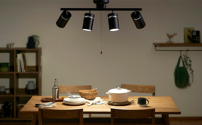 宮城県大河原町のふるさと納税 シーリングライト LED 照明 4灯 マットブラック CE4LA-22SS-MB アイリスオーヤマ 照明器具 天井照明 節電 省エネ リビング 寝室 和室 ダイニング キッチン 台所