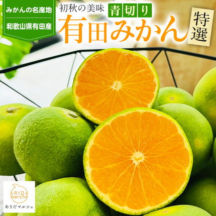 741)数量限定　甘すぎる　有田みかん　果物 　みかん　小玉　旬 先行予約】【初秋の美味】特選！濃厚青切り有田みかん 10.2kg(10kg+