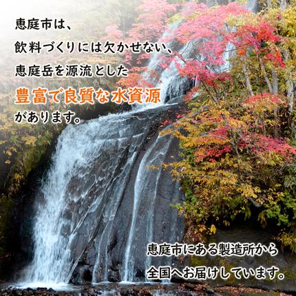 健康ミネラル麦茶2L×6本×2箱【50000401】 / 北海道恵庭市 | セゾンの