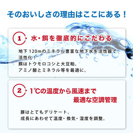 島根県邑南町のふるさと納税 豚肉　石見ポーク しゃぶしゃぶセット1.6kg（ロースしゃぶしゃぶ用300g×1バラしゃぶしゃぶ用300g×1小間切れ500g×2）