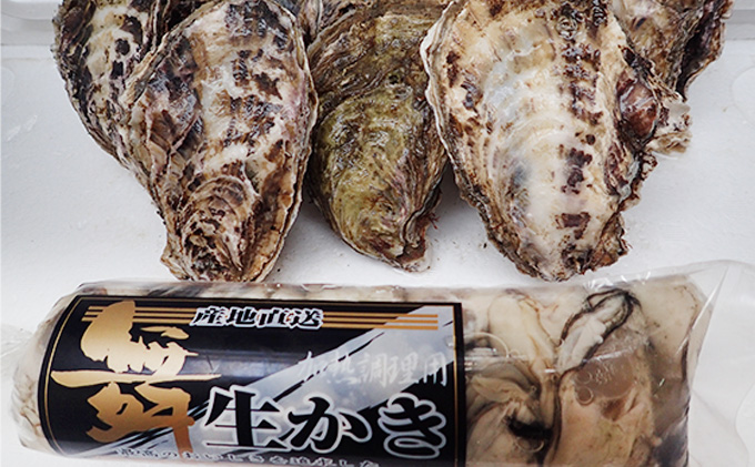 岡山県瀬戸内市のふるさと納税 牡蠣 2026年 先行予約 牡蠣むき身 500gと 殻付牡蠣 10個 セット 山銀商店 瀬戸内海虫明湾産 魚介類 カキ かき シーフード