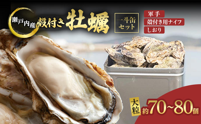 岡山県瀬戸内市のふるさと納税 牡蠣 2026年 先行予約 殻付き牡蠣  一斗缶 （ 大つぶ 約70個～80個）  山銀商店 瀬戸内海虫明湾産 生牡蠣 かき 魚介類 カキ 軍手 ナイフ付き 加熱調理用