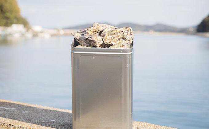 岡山県瀬戸内市のふるさと納税 牡蠣 2026年 先行予約 殻付き牡蠣 お徳用 一斗缶 （小粒 約100個、約10kg） 山銀商店 瀬戸内海虫明湾産 生牡蠣 かき 魚介類 カキ 軍手 ナイフ付き 加熱調理用