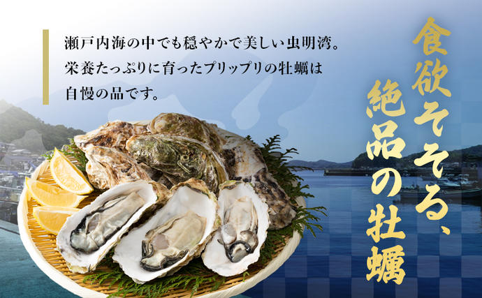岡山県瀬戸内市のふるさと納税 牡蠣 2026年 先行予約 殻付き牡蠣  一斗缶 （ 大つぶ 約70個～80個）  山銀商店 瀬戸内海虫明湾産 生牡蠣 かき 魚介類 カキ 軍手 ナイフ付き 加熱調理用