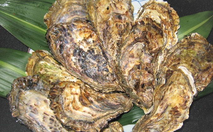 岡山県瀬戸内市のふるさと納税 牡蠣 2026年 先行予約 殻付き牡蠣 お徳用 一斗缶 （小粒 約100個、約10kg） 山銀商店 瀬戸内海虫明湾産 生牡蠣 かき 魚介類 カキ 軍手 ナイフ付き 加熱調理用