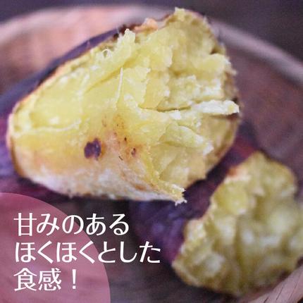 茨城県行方市のふるさと納税 2025年度産 ホクホクで甘いさつまいも すずほっくり 約5kg｜さつまいも 芋 お芋 すずほっくり 渋谷農園 茨城県 行方市(BZ-13)