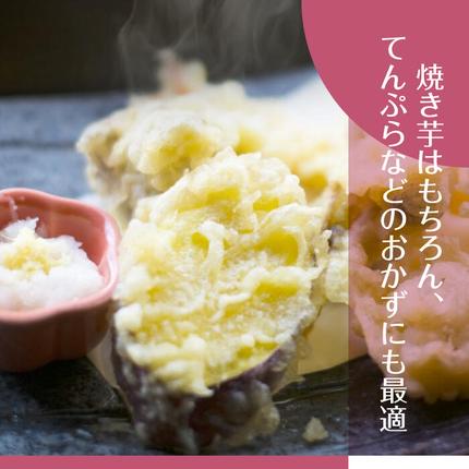 茨城県行方市のふるさと納税 2025年度産 ホクホクで甘いさつまいも すずほっくり 約5kg｜さつまいも 芋 お芋 すずほっくり 渋谷農園 茨城県 行方市(BZ-13)