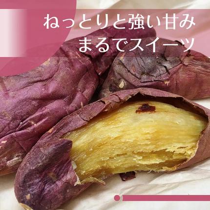 茨城県行方市のふるさと納税 2025年度産 濃厚な甘みのさつまいも 紅はるか 約5kg｜さつまいも 芋 お芋 紅はるか 渋谷農園 茨城県 行方市(BZ-15)