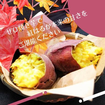 茨城県行方市のふるさと納税 2025年度産 濃厚な甘みのさつまいも 紅はるか 約5kg｜さつまいも 芋 お芋 紅はるか 渋谷農園 茨城県 行方市(BZ-15)