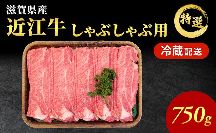 滋賀県豊郷町のふるさと納税 近江牛特選霜降りしゃぶしゃぶ用約750g【納期 最長３カ月】ブランド牛