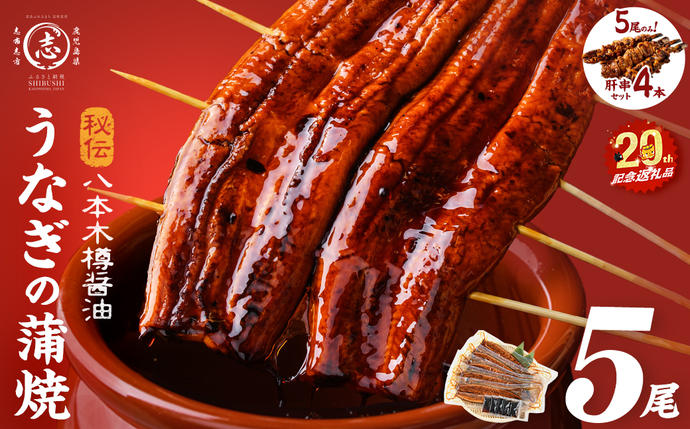 【3月末までに配送】【志布志市制20周年記