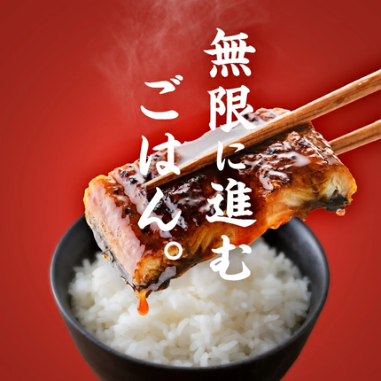 鹿児島県志布志市のふるさと納税 【志布志市制20周年記念】【数量限定】国産 八本木樽鰻の蒲焼(160g以上×5尾) うなぎ肝串4本セット 【ポータル限定】 b5-192-km