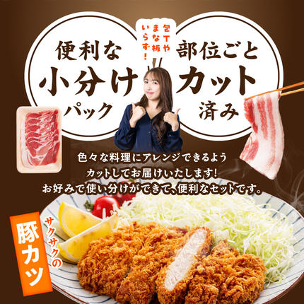 宮崎県都城市のふるさと納税 「高城の里」わくわく4.1kgセット(真空)_22-8401-s