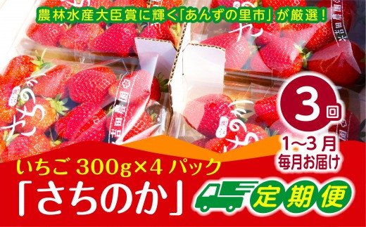 【2027年1～3月発送】【3ヶ月定期便】