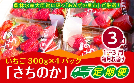 福岡県福津市のふるさと納税 【2027年1～3月発送】【3ヶ月定期便】「さちのか」いちご　約300g×4Pを3回お届け[H7007]