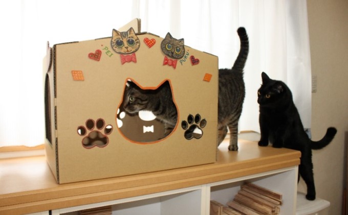 ダンボール ねこハウス ペット用品 猫の顔 肉球の形 覗き窓 かわいい