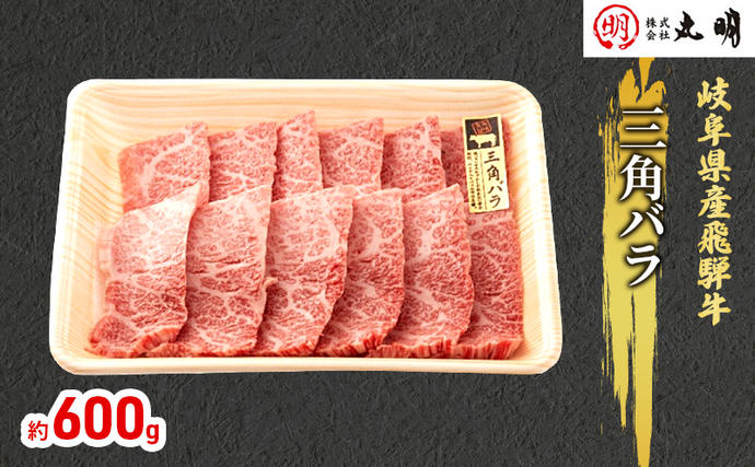 飛騨牛 希少部位 三角バラ 焼肉 セット 