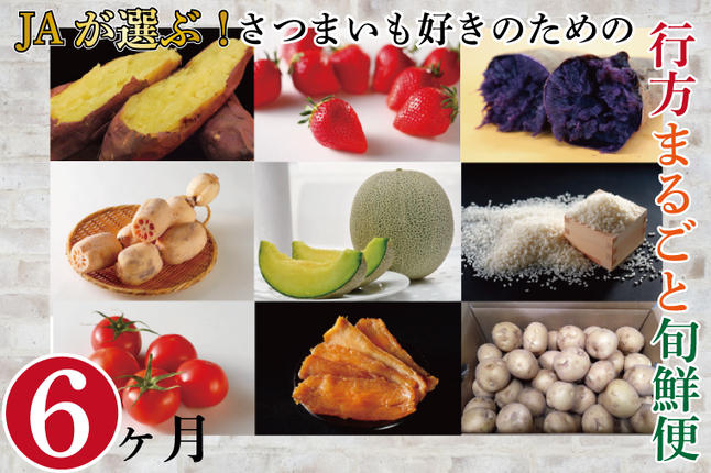 茨城県行方市のふるさと納税 AE-56【6ヶ月定期便】JAが選ぶ！さつまいも好きのための行方まるごと旬鮮便