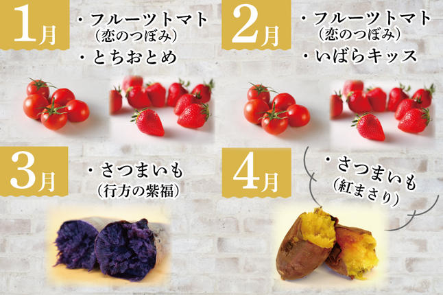 茨城県行方市のふるさと納税 AE-56【6ヶ月定期便】JAが選ぶ！さつまいも好きのための行方まるごと旬鮮便
