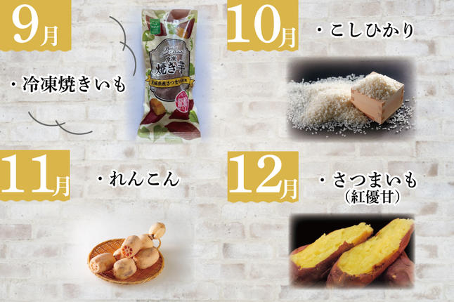 茨城県行方市のふるさと納税 AE-56【6ヶ月定期便】JAが選ぶ！さつまいも好きのための行方まるごと旬鮮便