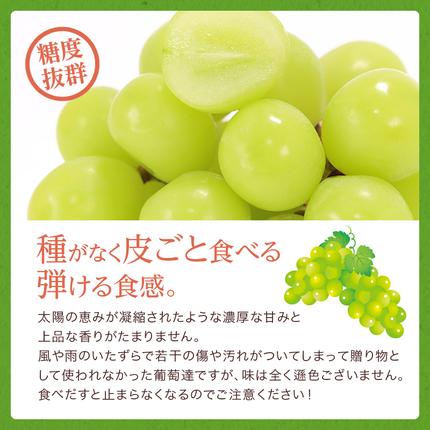 岡山県玉野市のふるさと納税 ぶどう 2026年 先行予約 ご家庭用 シャイン マスカット 約2kg 糖度抜群！ 【9月上旬～順次発送分】 ブドウ 葡萄  岡山県産 国産 フルーツ 果物 果物類