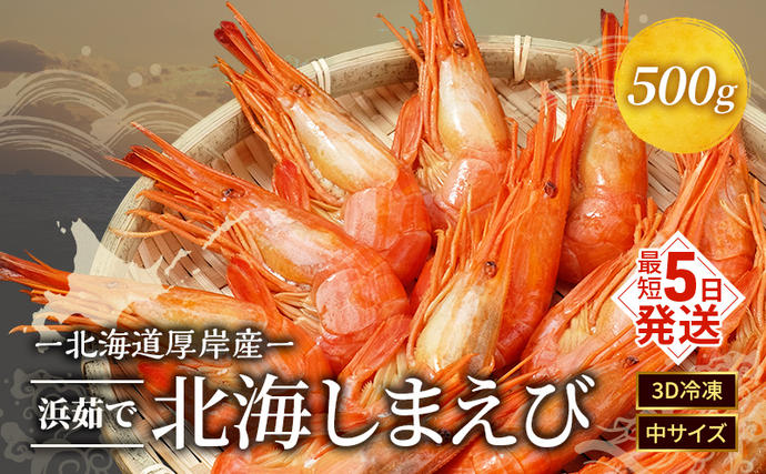 北海道厚岸町のふるさと納税 えび 3D冷凍 北海道 厚岸産 浜茹で 北海しまえび 中サイズ 500g (33尾前後) 海鮮 魚介類
