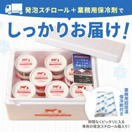 北海道池田町のふるさと納税 北海道　牧場の生ソフトクリーム14個　アイスクリーム　詰合せ