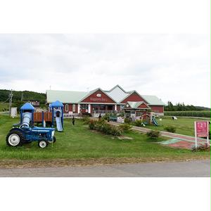 北海道池田町のふるさと納税 北海道　牧場の生ソフトクリーム14個　アイスクリーム　詰合せ