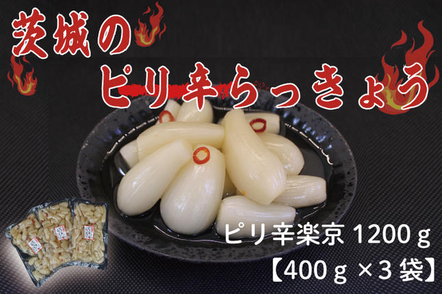 茨城県行方市のふるさと納税 BC-3☆茨城のピリ辛らっきょう