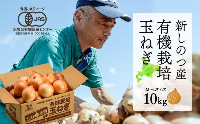北海道 新しのつ産 有機栽培 玉ねぎ M-L サイズ混合 約10kg 玉葱