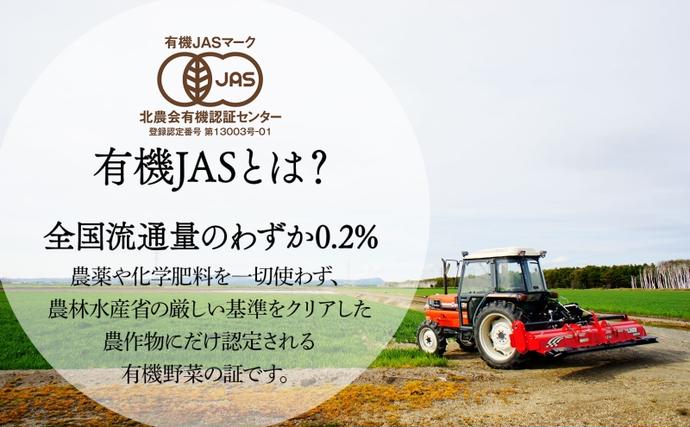 北海道 新しのつ産 有機栽培 玉ねぎ M-L サイズ混合 約10kg 玉葱