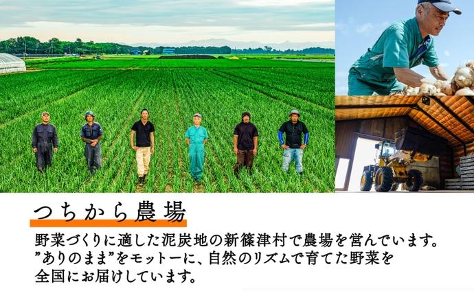 北海道 新しのつ産 有機栽培 玉ねぎ M-L サイズ混合 約10kg 玉葱
