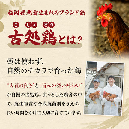 福岡県朝倉市のふるさと納税 水炊きセット 鶏飼う人 古処鶏 こしょどり ギフトセット 天野商店 配送不可 離島 鍋セット水炊き お肉 鶏肉 ムネ モモ