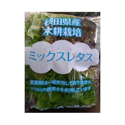 秋田県にかほ市のふるさと納税 きれいな水で育てた新鮮レタスセット400g（100g×4袋 野菜 小分け）