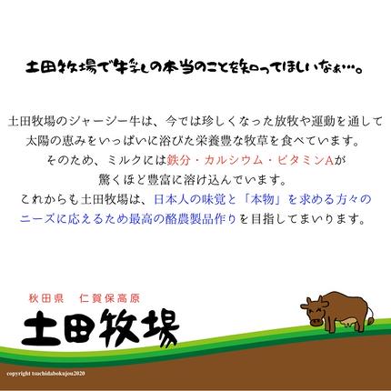 秋田県にかほ市のふるさと納税 ジャージー乳仕込み！手軽にベーコンリゾット 土田牧場さんのお土産 250g×2袋