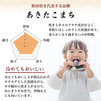 【ふるさと納税 定期便 米】あきたこまち（ お米 白米 ）の定期便 5kg×3回 2ヶ月毎（計15kg）で18000円