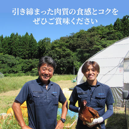 【ふるさと納税で地鶏の定期便】秋田県産の引き締まった肉質の食感とコクの比内地鶏（もも肉とムネ肉）12カ月定期便をぜひご賞味ください