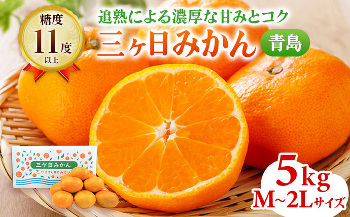 青島みかん M～2Lサイズ サイズ混在 5kg 三ヶ日みかん 果物 くだもの