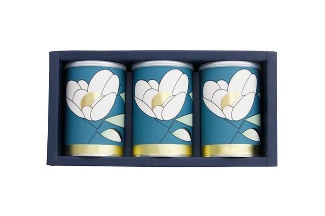 京都府宇治田原町のふるさと納税 【合組企画】宇治田原玉露と宇治煎茶のお詰合せ～最高茶師～〈お茶 茶 煎茶 緑茶 茶葉 玉露 詰合せ 最高茶師 大臣賞 飲料 加工食品〉