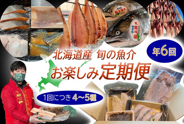 ＜定期便6回＞北海道産 旬の魚介4～5種 