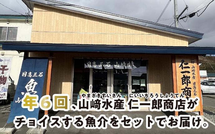 北海道新ひだか町のふるさと納税 ＜定期便6回＞北海道産 旬の魚介4～5種 お楽しみ定期便