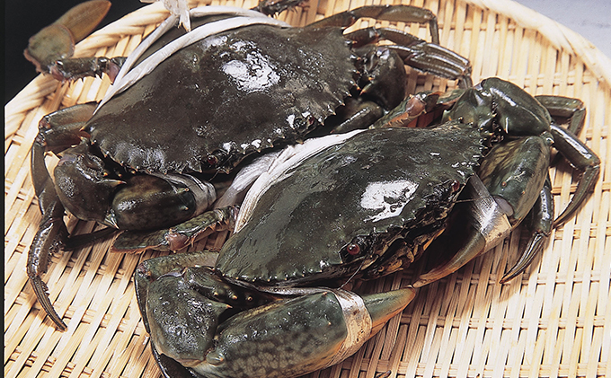 浜名湖ドウマン（ノコギリガザミ）塩蒸し 1杯【配送不可：離島】 蟹