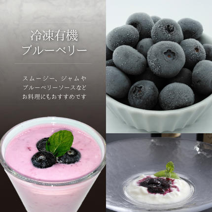 島根県邑南町のふるさと納税 【先行予約】冷凍 有機ブルーベリー 1.2kg（400g×3袋）