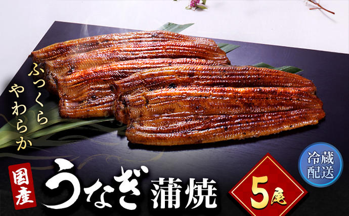 静岡県浜松市のふるさと納税 うなぎ 国産 長蒲焼 5尾 小分け 詰め合わせ 国産 うなぎ蒲焼 国産うなぎ 惣菜 おかず ギフト 贈答 贈答用 贈答品 土用の丑の日 丑の日 レンジ調理 レンチン 蒲焼き うな重 鰻 真空パック 冷蔵 冷蔵配送 静岡 静岡県 浜松市