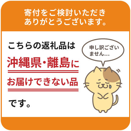 群馬県千代田町のふるさと納税 【2箱セット】ノンアルコール ビール  オールフリー 350ml × 24本(2箱)【サントリー】※沖縄・離島地域へのお届け不可