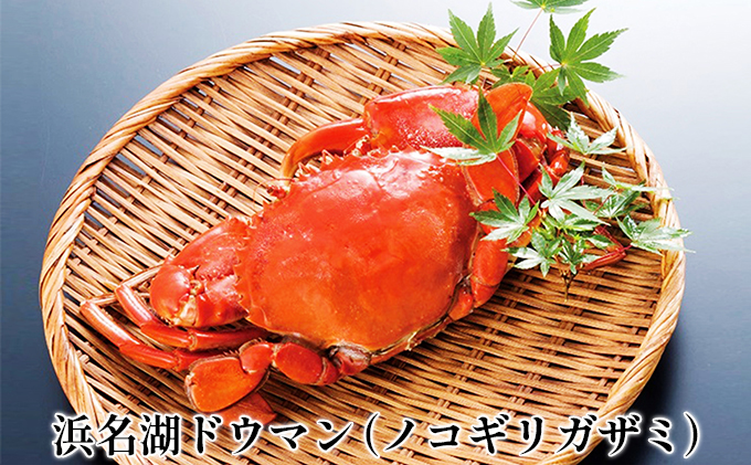 浜名湖ドウマン（ノコギリガザミ）塩蒸し 1杯【配送不可：離島】 蟹