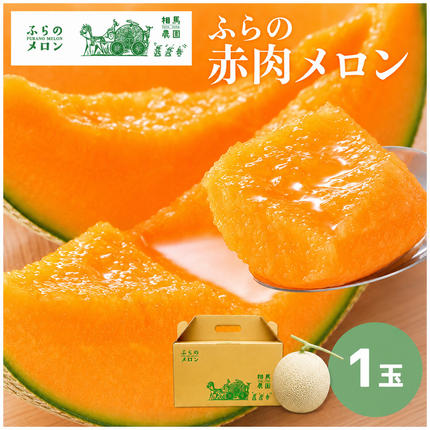 【2026年6月～発送】富良野 赤肉 メロ
