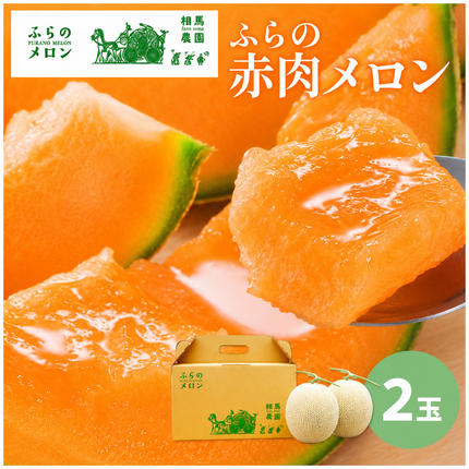 2026年6月～発送】富良野 赤肉 メロン 2玉入 計4kg前後 大玉 (相馬農園