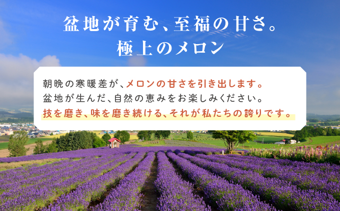 北海道富良野市のふるさと納税 【2026年6月発送】ふらの 赤肉メロン 2玉入 計4kg前後 (相馬農園) メロン フルーツ 果物